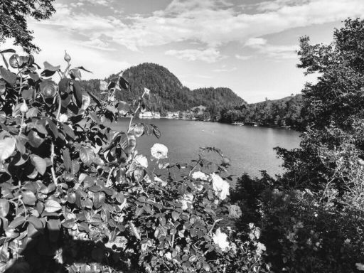 Reise-Tagebuch zu “Wenn fünf eine Reise tun“ Tag 2