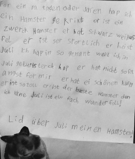 „Juli“- von Spontankäufen & künftigen Hamster-Schwiegersöhnen