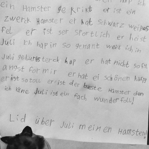 “Juli”- Von Spontankäufen & Künftigen Hamster-Schwiegersöhnen