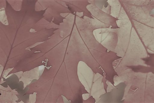 Herbstferien: Eine Mutter zieht Bilanz, von einer Soll/Ist-Aufstellung der etwas anderen Art