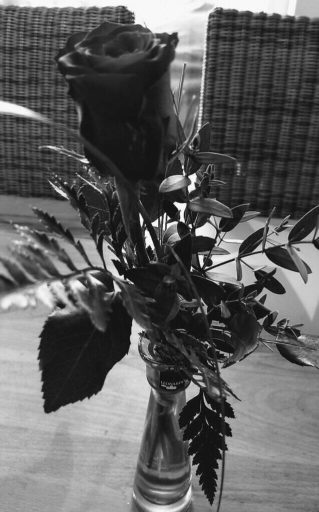 Sweet f…… Valentine: Woher die Rosen wirklich kommen