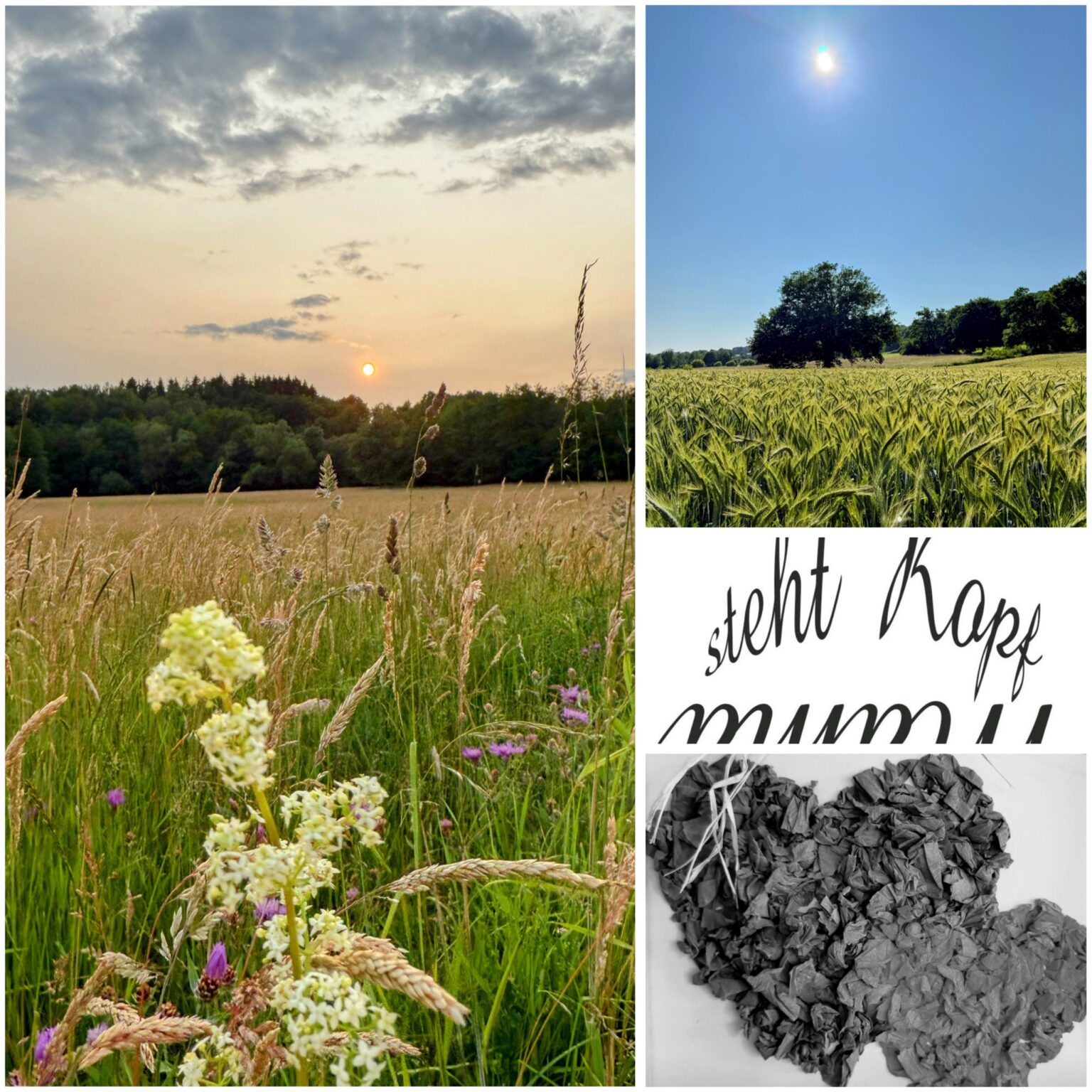 Collage: Wiese mit Wildblumen im Abendlicht, Kornfeld mit Baum unter blauem Himmel, graues Herz, Schriftzug Mama steht Kopf