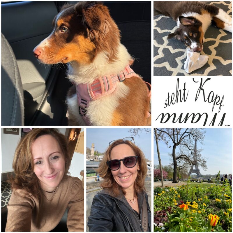 Zwischen Paris und Mailand liegen Dreck, Wäsche, Emotionen & ein bisschen (Hunde-) Liebe ;)