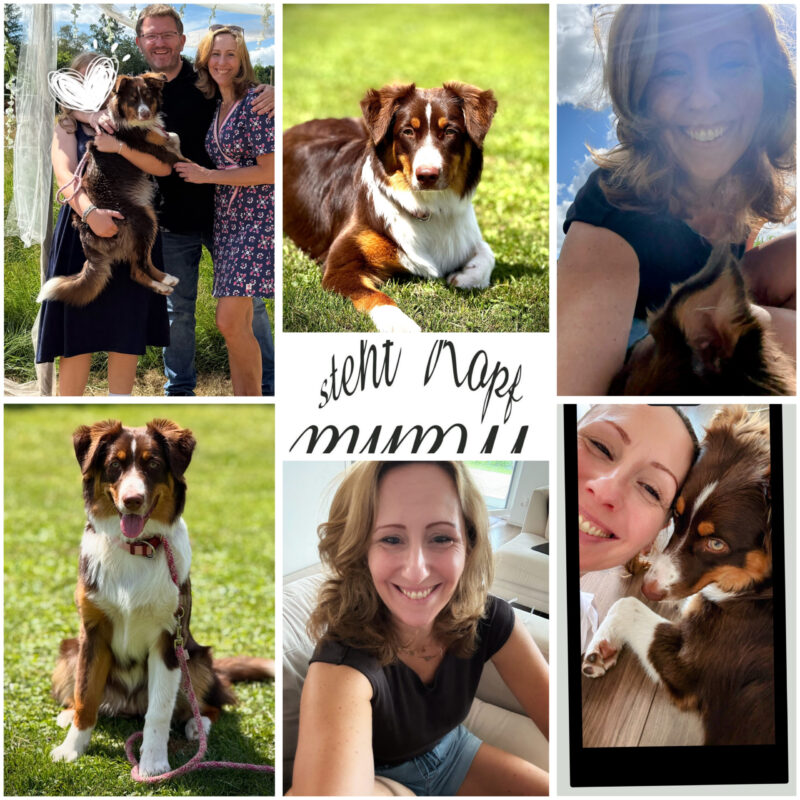 Collage mit Familienhund Hazel, einem braun-weißen Australian Shepherd: auf der Wiese, im Arm der Familie, beim Kuscheln mit der Autorin, Schriftzug Mama steht Kopf