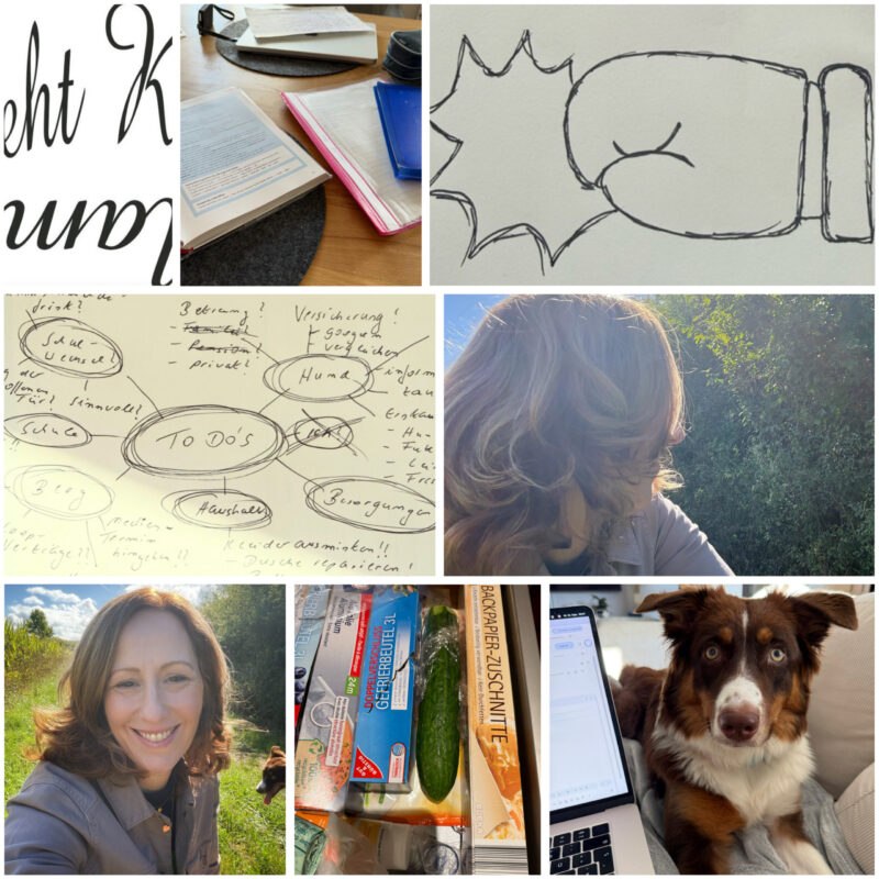 Collage zum Mental Load: To-do-Mindmap, Ordner und Papierstapel, gezeichneter Boxhandschuh, die Autorin im Grünen, Einkäufe und der Familienhund am Laptop, Schriftzug Mama steht Kopf