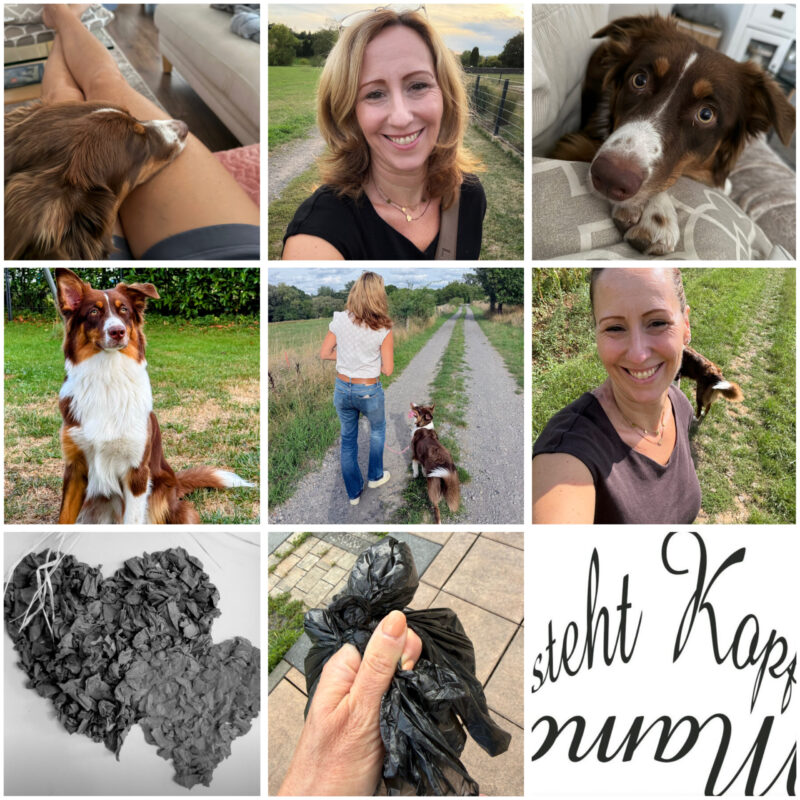 Ich bin jetzt ein (abgehärteter!) Hundemensch: Von viel Dreck & noch mehr Liebe