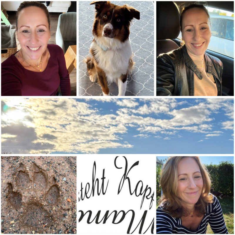 Collage: die Autorin lachend im Auto und im Garten, Familienhund Hazel, Pfotenabdruck im Sand, Wolkenhimmel, Schriftzug Mama steht Kopf